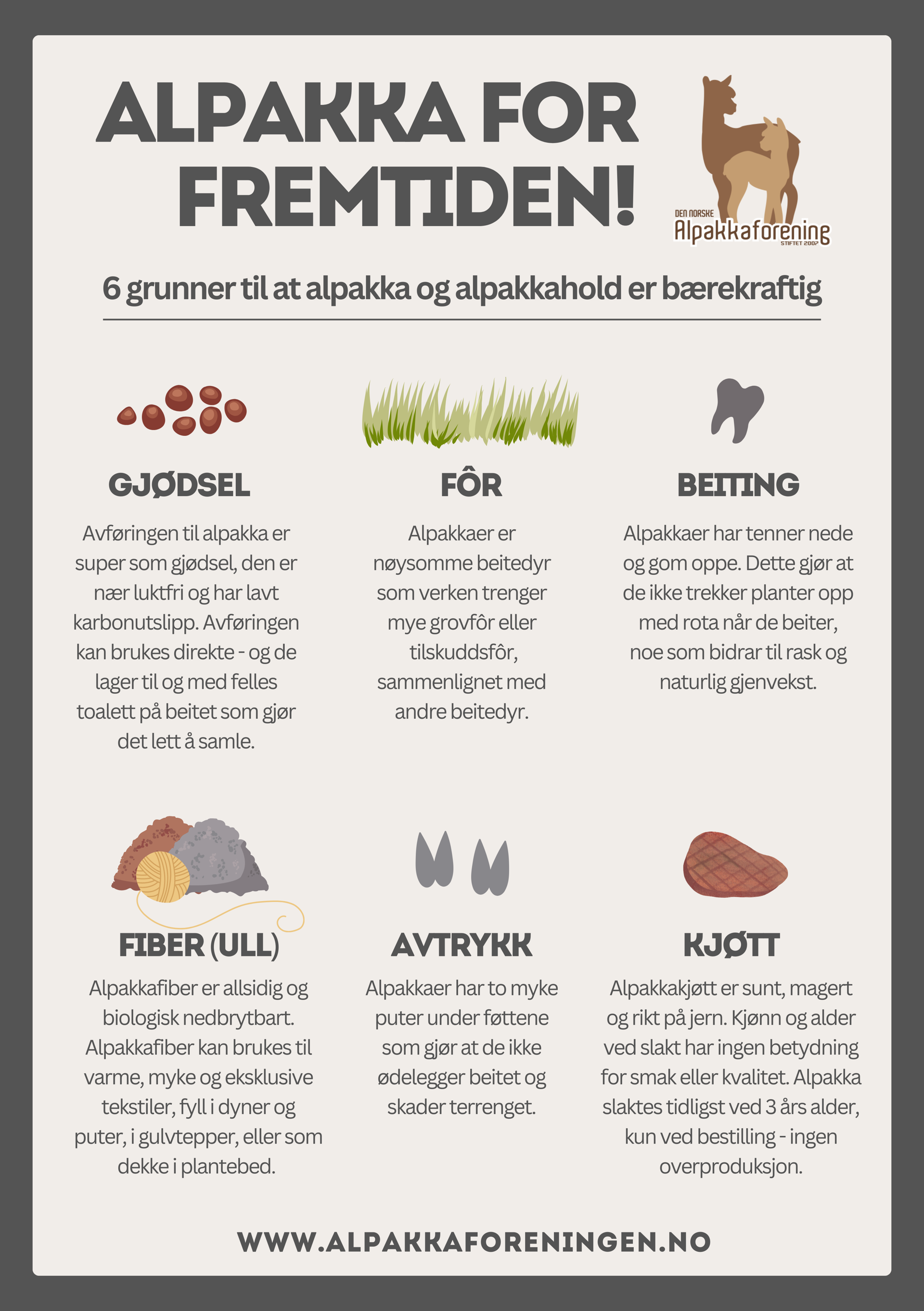 Alpakka for fremtiden!